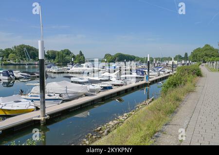 Marina, Boote, Hafen, Schierstein, Wiesbaden, Hessen, Deutschland Stockfoto