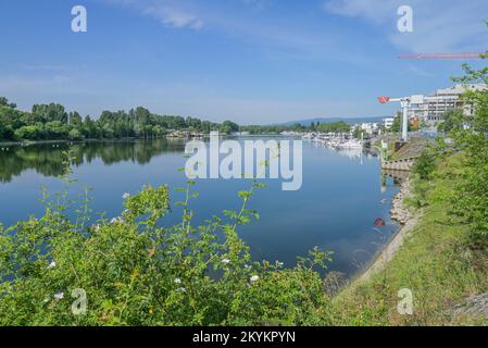 Hafen, Schierstein, Wiesbaden, Hessen, Deutschland Stockfoto