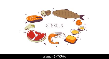 Sterolhaltige Lebensmittel. Gruppen von gesunden Lebensmitteln mit Vitaminen und Mineralstoffen. Set aus Obst, Gemüse, Fleisch, Fisch und Milchprodukten Stock Vektor