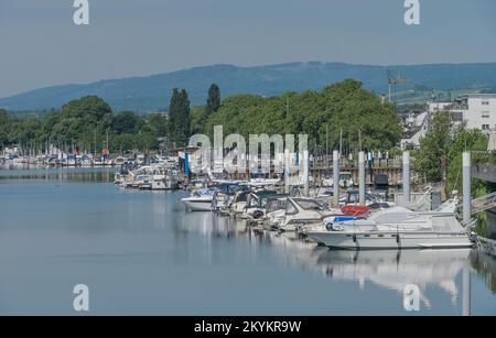 Marina, Boote, Hafen, Schierstein, Wiesbaden, Hessen, Deutschland Stockfoto