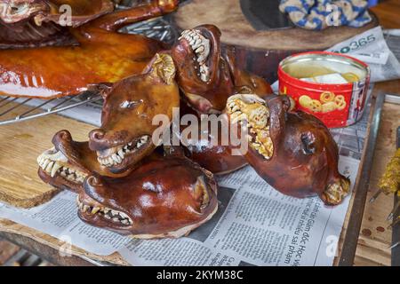 Hundefleischrestaurant Hanoi Vietnam Stockfoto