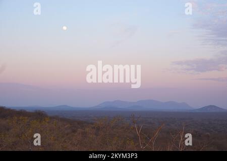 Der Mond geht über dem Ruaha-Nationalpark in Dawn unter Stockfoto