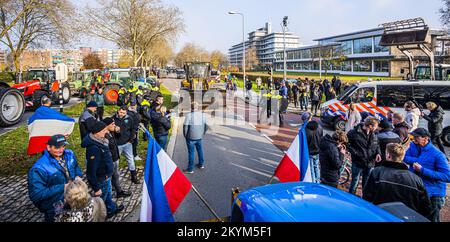 ZWOLLE (ANP) - mindestens zwei Personen wurden zu Beginn einer Demonstration von Landwirten vor der Provinz Overijssel in Zwolle verhaftet. Laut Polizei hinderten sie die Beamten daran, ihre Arbeit zu tun, und hörten nicht auf Befehle der Beamten. ANP ROLAND HETIINK niederlande raus - belgien raus Stockfoto