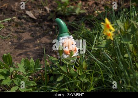 Grüne Zwerge im Garten Stockfoto