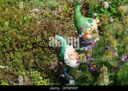 Kleine Zwerge verstecken sich im Garten Stockfoto