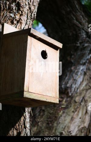 Ein Bienenhotel, Insect Hotel auf dem Baum Stockfoto