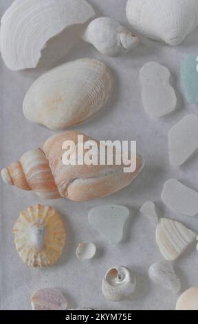 Eine Sammlung von Meeresglas, Muscheln und Töpferwaren auf einer Glasschale Stockfoto