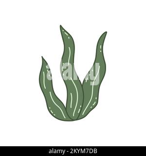 Grüne Meereskorallen oder Algen. Unterwasserwelt, Vegetation der Ozeane oder Meere. Farbenfrohe Vektor-isolierte Illustration, handgezeichnet. Einzelnes Element, Stock Vektor