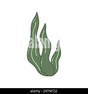Grüne Meereskorallen oder Algen. Unterwasserwelt, Vegetation der Ozeane oder Meere. Farbenfrohe Vektor-isolierte Illustration, handgezeichnet. Einzelnes Element, Stock Vektor