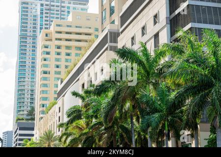 Reihen von modernen mehrstöckigen Gebäuden mit Palmen an der Vorderseite in Miami, Florida. An der Vorderseite befindet sich ein Gebäude mit Pflanzen auf der Dachterrasse al Stockfoto