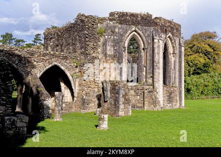 Die Überreste des Kapitelhauses der Zisterzienserabtei, Margam Country Park. Margam Country Park, Margam, Port Talbot, South Wales, Großbritannien - Stockfoto