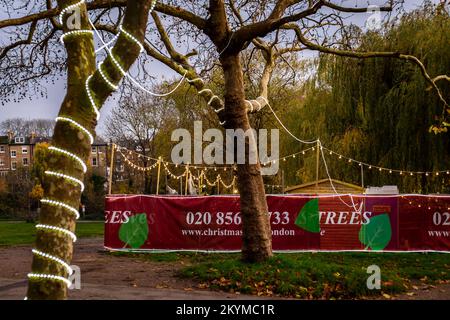 Hampstead Heath in North London. Ein Weihnachtsbaumunternehmen, das Bäume aller Größen in einer einladenden Lage am Rand der berühmten Heath verkauft Stockfoto