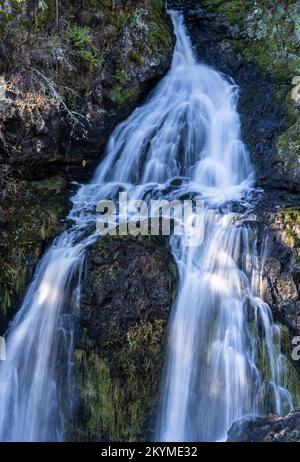 Sitting Lady Falls im Witty's Lagoon Regional Park in Metchosin, British Columbia, Kanada. Stockfoto