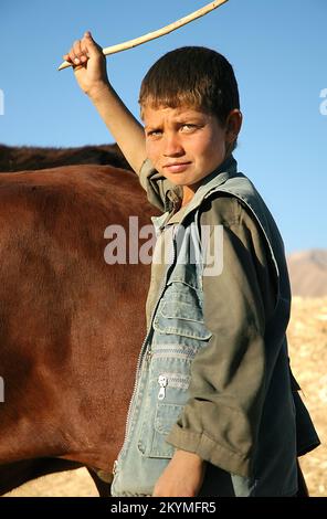 Bamyan (Bamiyan) / Zentralafghanistan: Ein kleiner Junge neigt dazu, auf einer Farm in Bamyan Ochsen zu schlagen. Stockfoto