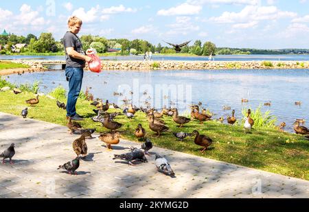 Valdai, Russland - 6. August 2022: Мan füttert Tauben und Enten im Sommer am Ufer des Valdai-Sees Stockfoto