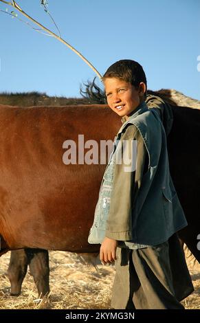 Bamyan (Bamiyan) / Zentralafghanistan: Ein kleiner Junge neigt dazu, auf einer Farm in Bamyan Ochsen zu schlagen. Stockfoto