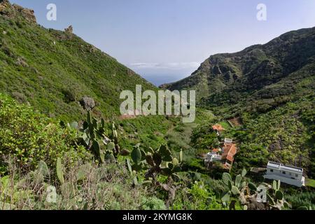 Überblick über das Dorf Chamorga und den Barranco de Roque Bermejo, das Anaga-Gebirge, Teneriffa, die Kanarischen Inseln, Spanien, November. Stockfoto