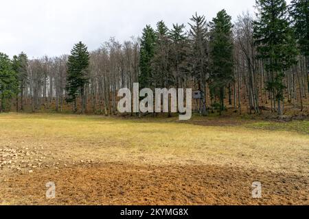 Jagdbeobachtungsposten im Wald im Herbst. Stockfoto