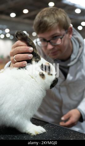01. Dezember 2022, Sachsen, Leipzig: Richter Heiko Eisbein bewertet ein Kaninchen der Rasse "Rheinische Schecken" auf der Lipsia Rasse Geflügel Show 126.. Die Vorstellung zeigt etwa 14.000 Tauben und 4050 Stammkaninchen vom 02. Dezember bis 04. Dezember 2022 auf dem Gelände der Neuen Messe. Nach einem Ausbruch der Aviären Influenza mit 26 Fällen in Mecklenburg-Vorpommern wurde die Ausstellung von Geflügel, ausgenommen Tauben, in der Lipsia jedoch offiziell verboten. Foto: Hendrik Schmidt/dpa Stockfoto