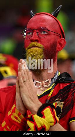 Al-Rayyan, Katar. 1.. Dezember 2022. Belgischer Fan betet vor dem FIFA-Weltmeisterschaftsspiel 2022 im Ahmad bin Ali Stadium, Al Rayyan. Der Bildausdruck sollte lauten: David Klein/Sportimage Credit: Sportimage/Alamy Live News Credit: Sportimage/Alamy Live News Credit: Sportimage/Alamy Live News Stockfoto