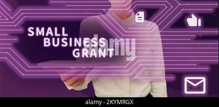 Konzeptionelle Darstellung des Zuschusses für kleine Unternehmen. Geschäftsübersicht ein Privatunternehmen, das für seine begrenzte Größe bekannt ist Stockfoto