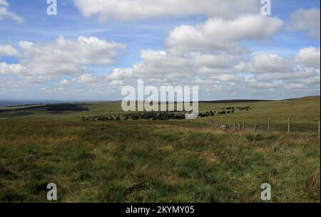 St. Peter's Church Belmont Lancashire England Stockfoto