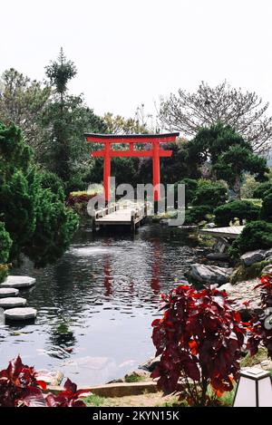 Traditionelle japanische Tore Torii in Da Lat Vietnam in der Nähe des Sees mit Koi-Fischen Stockfoto