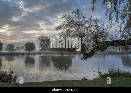 Erster Dezembertag neblig am Buschpark Heron Pond in Surrey Stockfoto