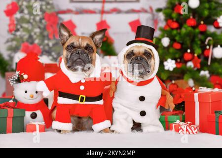 Zwei französische Bulldog-Hunde in lustigen Weihnachtskostümen, verkleidet als Schneemann und Weihnachtsmann Stockfoto