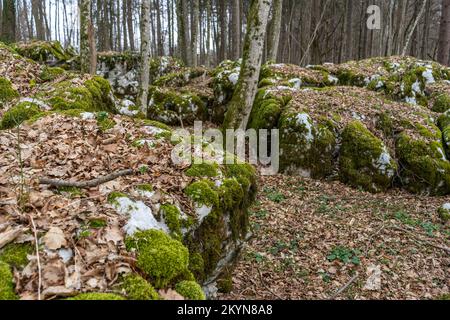 Karstlandschaft im Winter im slowenischen Wald Stockfoto