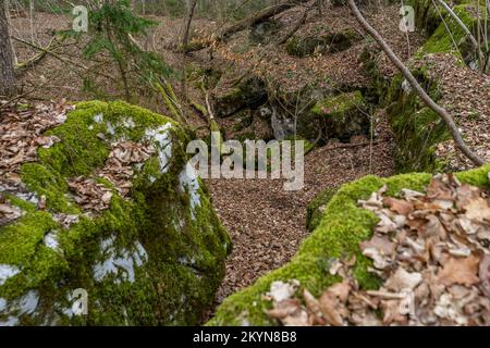 Karstlandschaft im Winter im slowenischen Wald Stockfoto