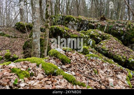 Karstlandschaft im Winter im slowenischen Wald Stockfoto