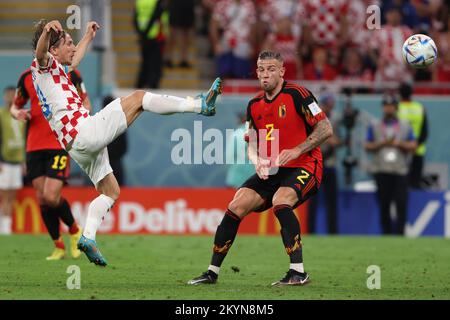 Al-Rayyan, Catar. 01.. Dezember 2022. Rayyan, Katar. Kredit: Richard Callis/FotoArena/Alamy Live News Stockfoto