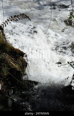 Wehr in der Afon Mellte in der Nähe der alten Gunpowder Werke, Pontneddfechan. Stockfoto