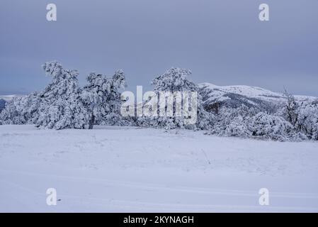 Felsen auf dem südlichen Demerdzhi-Berg im Schnee nach Schneesturm im Frühling. Krim Stockfoto