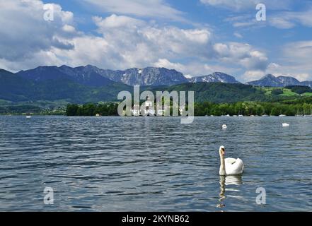 Schloss Ort mit alpinen Hintergründen in Osterreich mit Schwanen Stockfoto