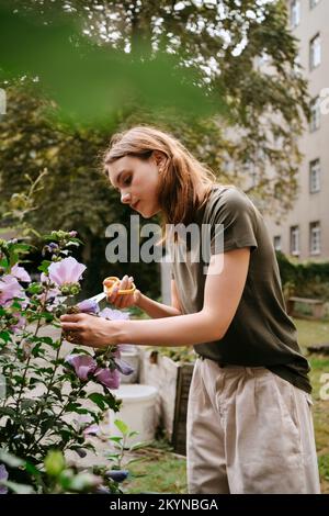 Junge Frau, die im Garten Blumenblätter mit einer Schere schneidet Stockfoto