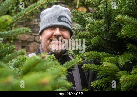 Clonakilty, West Cork, Irland. 1.. Dezember 2022. In Clonakilty wurde ein Weihnachtsbaumdepot eröffnet. Patrick, der jedes Jahr Weihnachtsbäume in Clonakilty verkauft, geht davon aus, bis Weihnachten bis zu 200 Bäume zu verkaufen. Kredit: AG News/Alamy Live News Stockfoto