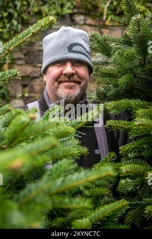 Clonakilty, West Cork, Irland. 1.. Dezember 2022. In Clonakilty wurde ein Weihnachtsbaumdepot eröffnet. Patrick, der jedes Jahr Weihnachtsbäume in Clonakilty verkauft, geht davon aus, bis Weihnachten bis zu 200 Bäume zu verkaufen. Kredit: AG News/Alamy Live News Stockfoto