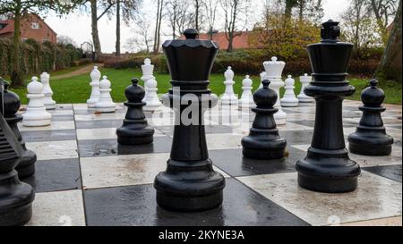 Großes Schachbrett in einem Park. Nahaufnahme der schwarzen Bauern Königin und König. Stockfoto