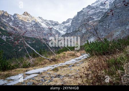 Wanderweg rund um den See Morskie Oko, den Nationalpark Tatras, in der Nähe von Zakopane in Polen. Steinige Straße, umgeben von Bergreste und Kiefern. Stockfoto