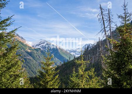 Berge und Kiefern wunderschöne Landschaft im Nationalpark High Tatras in der Nähe von Zakopane, Polen. Stockfoto