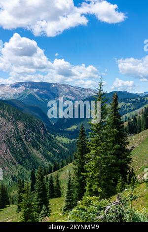 Der Four Passes Loop, ein Wander- und Rucksackpfad in der Nähe von Aspen und Snowmass, Colorado, USA, führt euch auf das Fravert Basin. Stockfoto