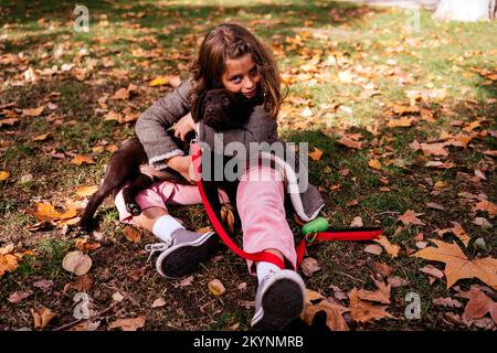 Von oben ein bezauberndes Mädchen in Oberbekleidung, das das Schokoladen-Labrador Retriever-Hündchen umarmt, während es auf einem grasbedeckten Rasen mit gelben Blättern sitzt Stockfoto