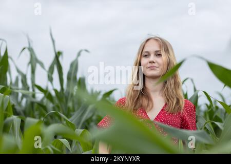 Ein blonder Teenager mit langen Haaren, der an einem Sommernachmittag durch ein Maisfeld spaziert Stockfoto