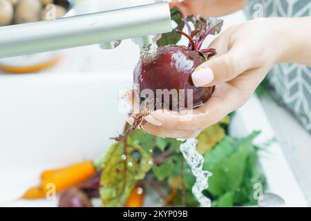 Weibliche gepflegte Hände waschen frische Bete unter Leitungswasserstrahl in der Küchenspüle. Schmutzige, ungeschälte Rote Bete mit grünem Schlepptau. Kochen, zubereiten Stockfoto