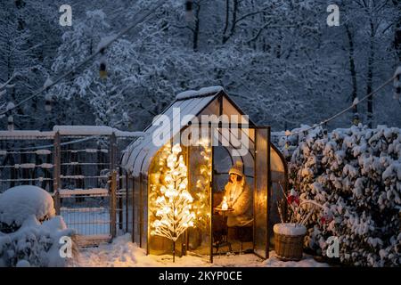 Verschneiter Hof mit Gewächshaus und glühendem Baumgraland Stockfoto