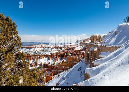 Ein verschneiter Winterblick im Bryce Canyon Stockfoto
