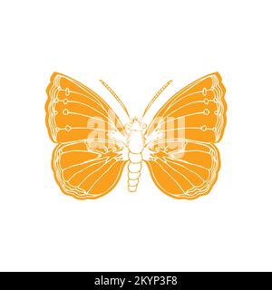 Vektorsymbol für Colias-Schmetterling mit weißem Hintergrund Stock Vektor