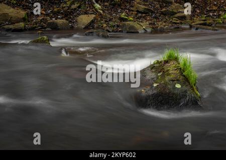 Loucka Fluss in der Nähe von Tisnov Stadt im Herbst bewölkt dunkel nass Tag Stockfoto